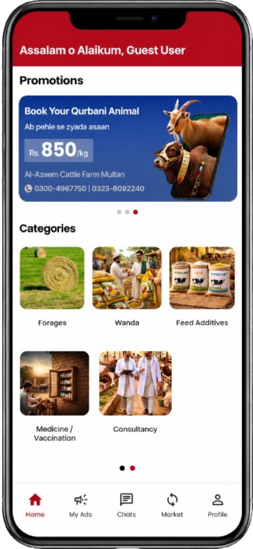 SK Livestock App — Meat & Offal — Fresh supply for exporters and local buyers